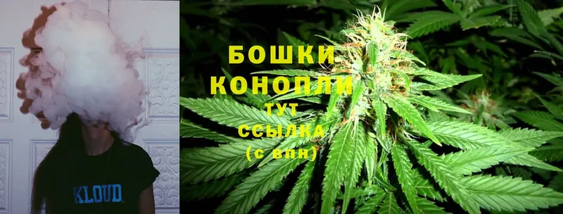 сколько стоит  Набережные Челны  Каннабис OG Kush 